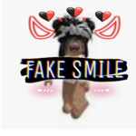 Fake is best