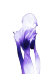 /vøìd