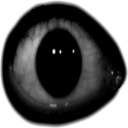 Scary Face Original Eye Roblox decal
