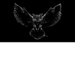 night of owls