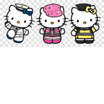 Flower kitty squad the boy