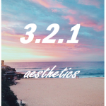 3.2.1 Aesthetics Clothing Shop