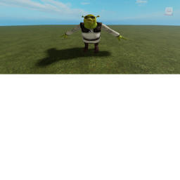 CAPTURE THE FLAG