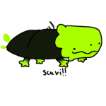 Rainworld Safezone