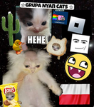 Grupa Nyan cats