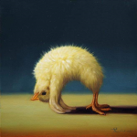 animal456729