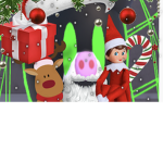 Dreamplayz700 Events