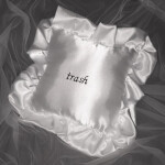 ˖ ˚ ⋅* ۶ৎ ༘*˖