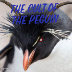 Peguin Cult