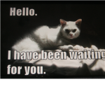 LolzCat