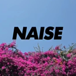 NaiseKL