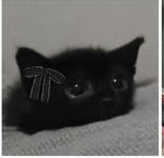 Mit biutis