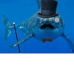 Teh Shark Club.