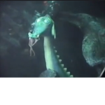 Submarine voyage