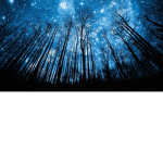 the starry nights group