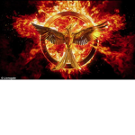 Catching Fire ( Hunger Games)