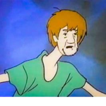 I-I THE SHAGGY CULT I-I