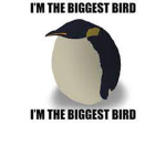THE BIGGEST BIRD GANG