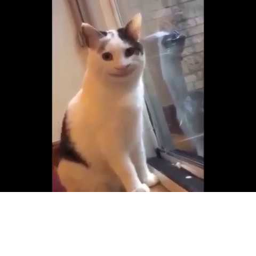 BRUH