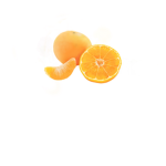 Drawing With Clementine Fan Group