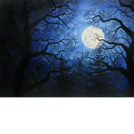 Midnight Fright Studios