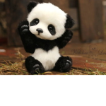 Panda power:)