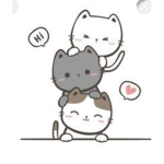 Ima cat lady
