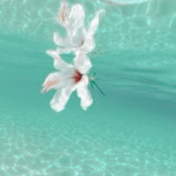 𝐀