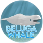 Beluga Whale