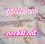 pocket cat