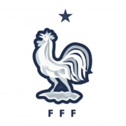 • France Training Pitch •