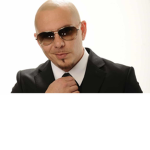 The Cult of Pitbull