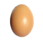 Make this the most popular roblox group