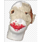 Ricardoman