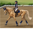 ~Sunny Hills Riding Acadmy~