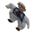 TheDuolingoClub