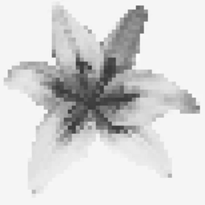 AkimboAktion! Roblox group icon