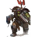 Protectors of the sacred lands