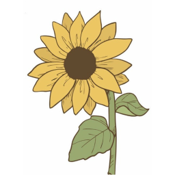 Sunflower Field