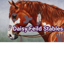 ~:~ Daisy feild ranch ~:~