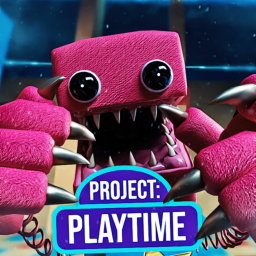 Project: Playtime