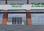 Zionix Store