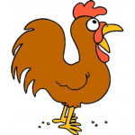 Rooster Squad!!!