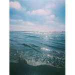 ocean mates