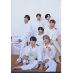 BTS army juju