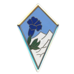 2e REI | 2e Régiment Étranger d’Infanterie