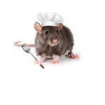 Chef ratz kitchen!