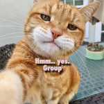 Hmmm Yes Group