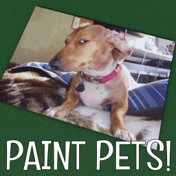Paint Pets!