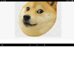 The doggos that killed Gabe the dog